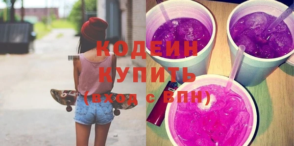 молекула духа Новозыбков